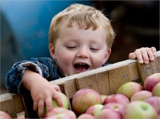 American Express Open Forum on Apples and Cross-Promotion