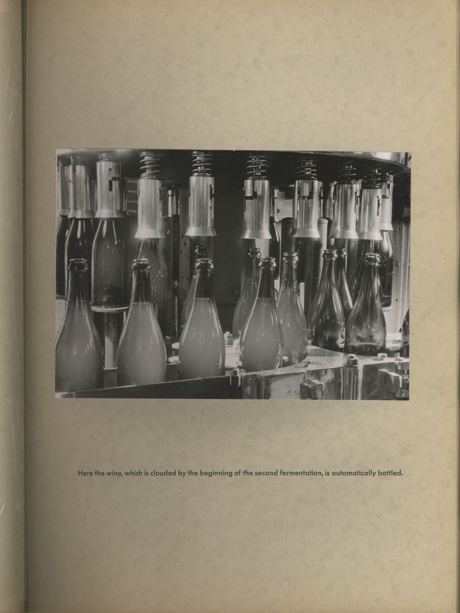 Item #4971 [Untitled Photograph Album Documenting Production Facilities of Henkell Trocken]. Photo Album - Sparkling Wine, Henkell, Co.