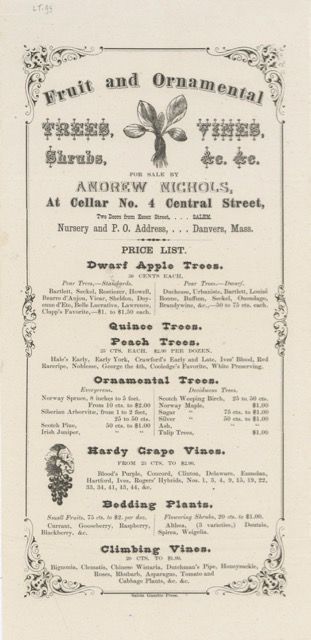 Item #6263 Fruit and Ornamental Trees, Vines, Shrubs, &c. &c. for sale by… at Cellar no. 4 Central Street, two doors down from Essex Street. Broadside – American nursery, Danvers Andrew Nichols, Mass.