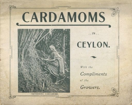 Item #6833 Cardamoms in Ceylon: With the Compliments of the Growers. [Cover title; caption title:...