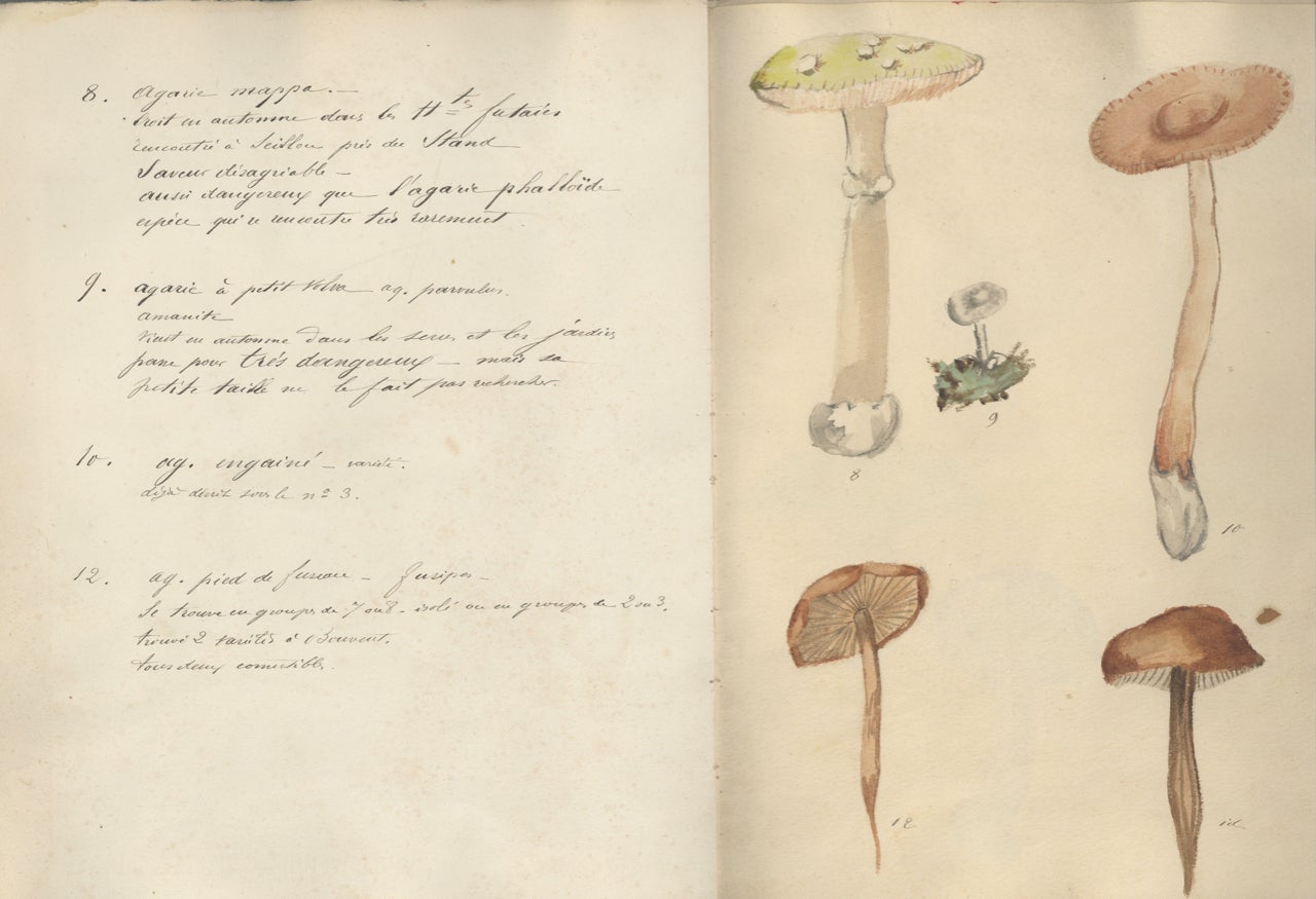 Item #7403 Champignons de l’Ain. Manuscript – mushrooms, Valentin-Smith, Joannes-Erhard.