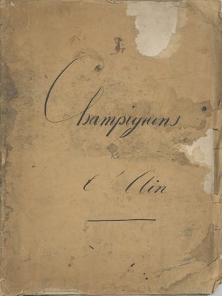 Champignons de l’Ain.