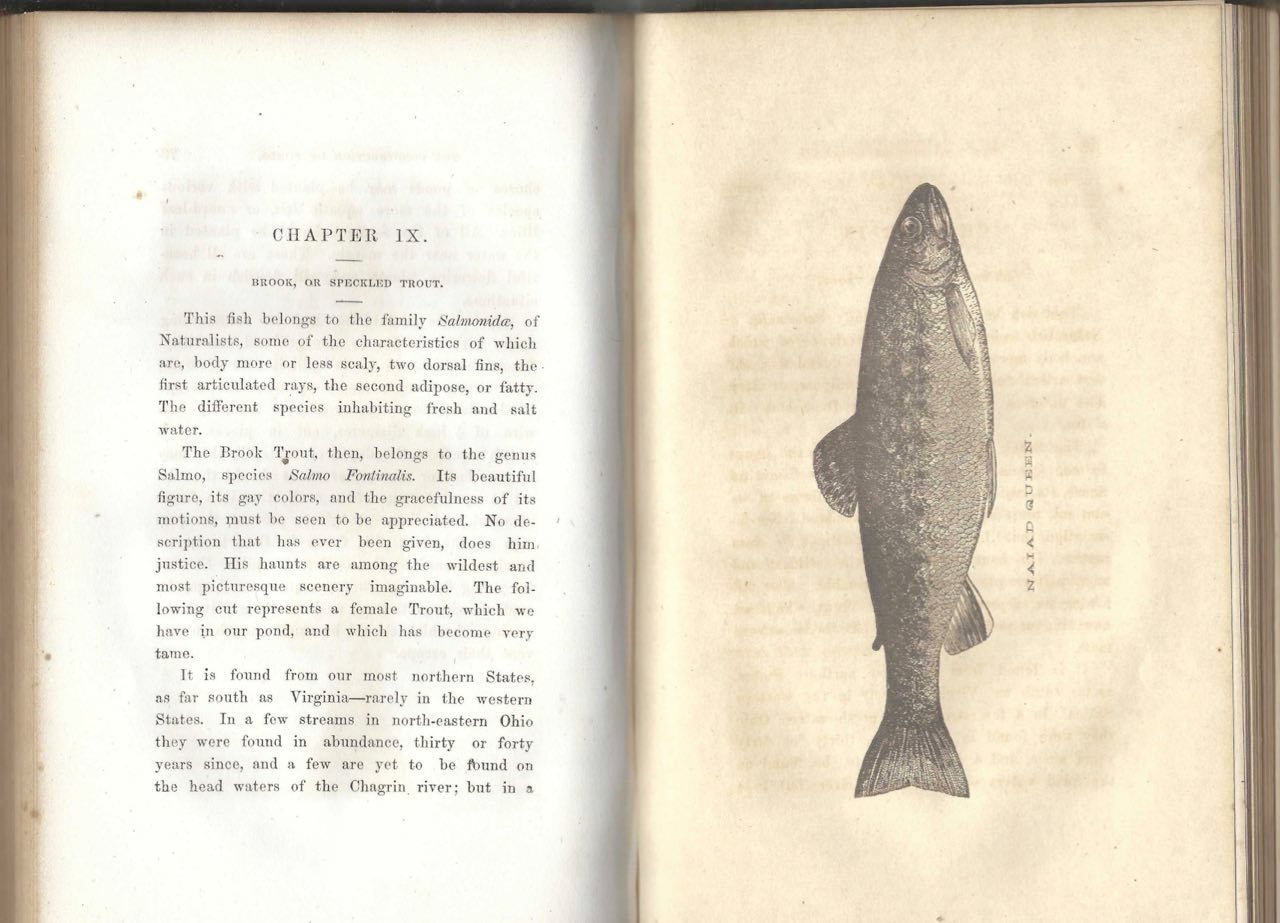 Item #8483 A Treatise on the Artificial Propagation of Certain Kinds of Fish: with the description and habits of such kinds as are the most suitable for pisciculture. Theodatus Garlick M. D.