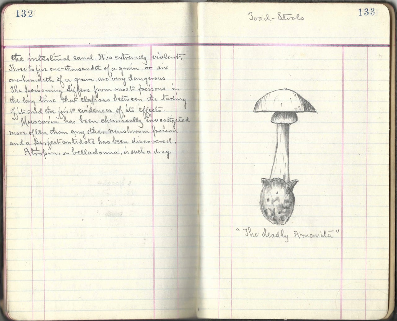 Item #8937 ECHO Mushroom Plant. Troy, N.Y. Manuscript – mushrooms, Anonymous.