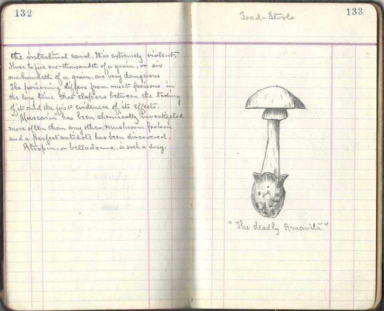 Item #8937 ECHO Mushroom Plant. Troy, N.Y. Manuscript – mushrooms, Anonymous